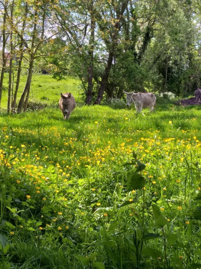 Muntershof Villa Velzeke-Ruddershove Dış mekan fotoğraf