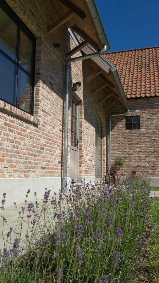 Muntershof Villa Velzeke-Ruddershove Dış mekan fotoğraf