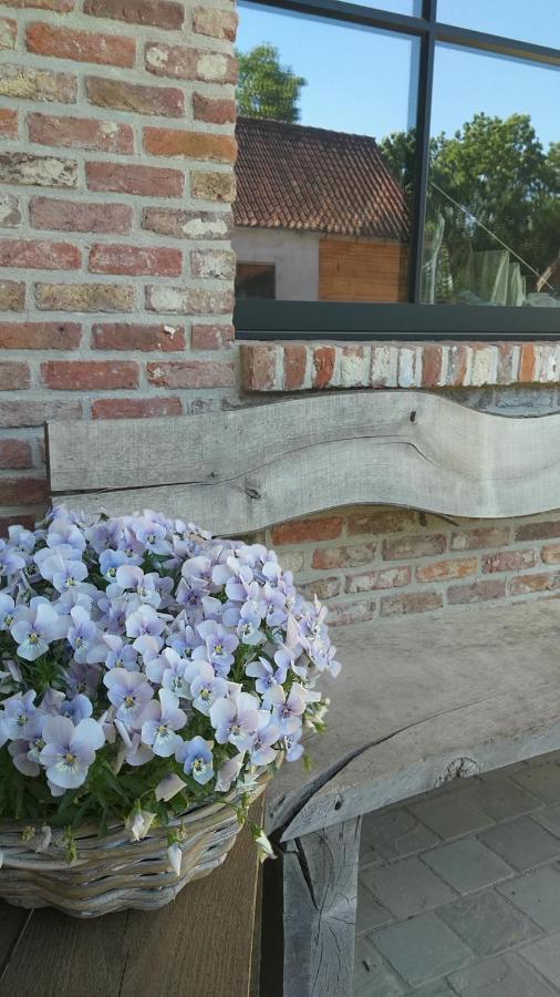 Muntershof Villa Velzeke-Ruddershove Dış mekan fotoğraf