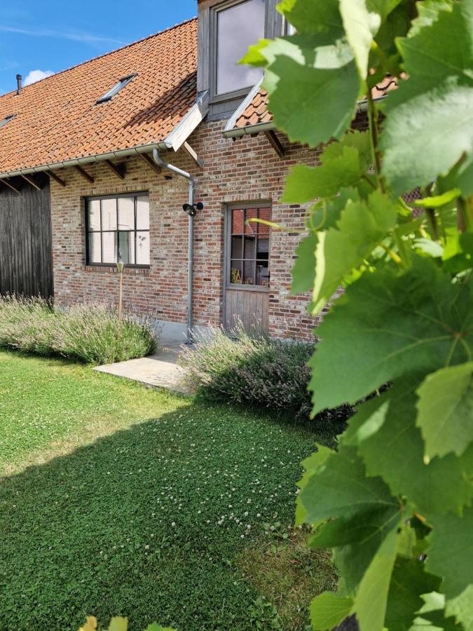 Muntershof Villa Velzeke-Ruddershove Dış mekan fotoğraf